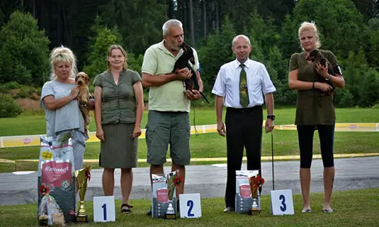 Klubová výstava SKCHJ 2018