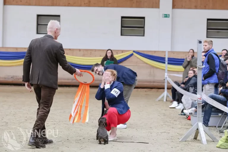 WUT World Winner 2024 je na Slovensku – fotografia 3