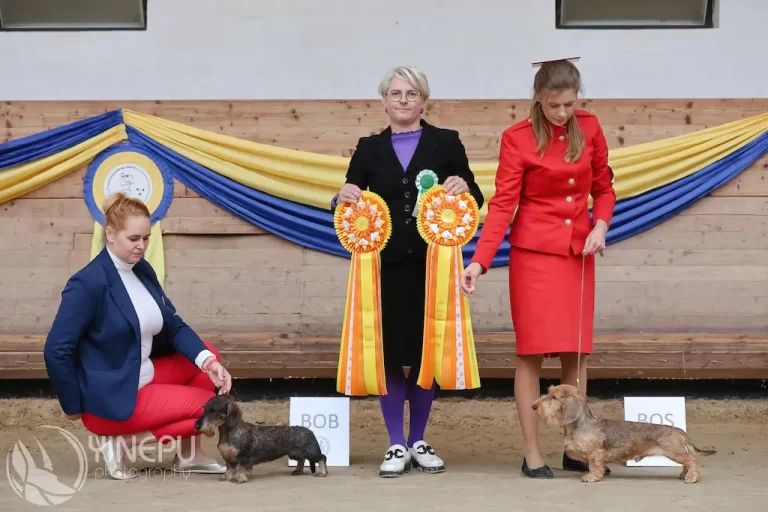 WUT World Winner 2024 je na Slovensku – fotografia 4