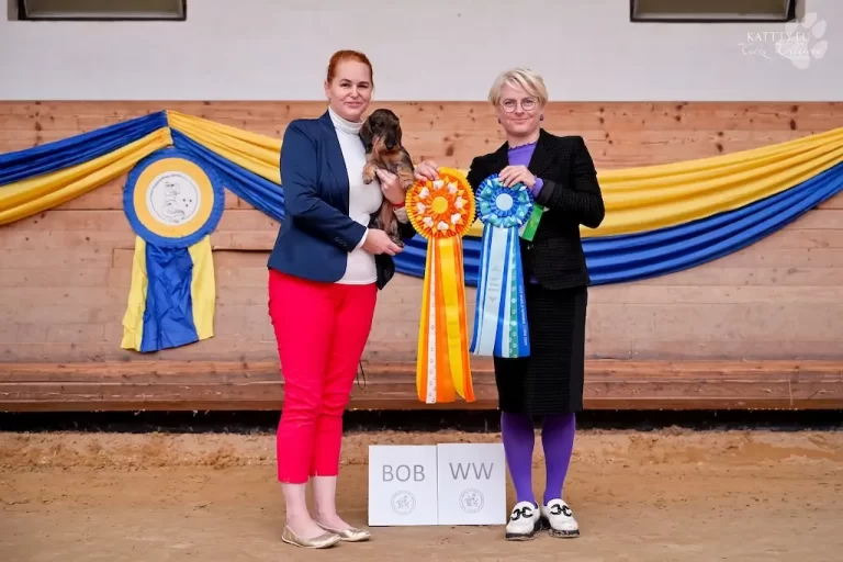 WUT World Winner 2024 je na Slovensku – fotografia 5