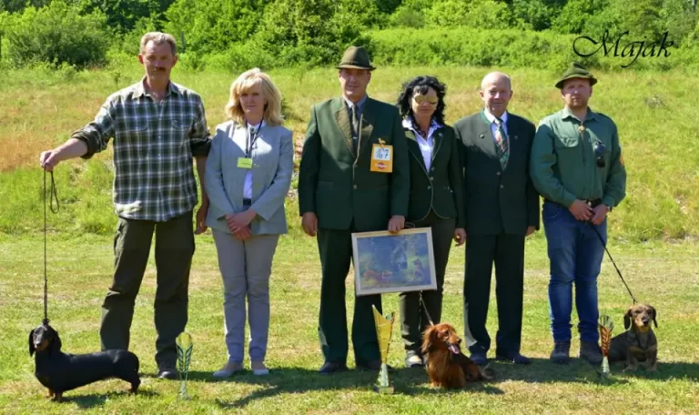 Špeciálna výstava jazvečíkov, Sielnica 18.06.2017