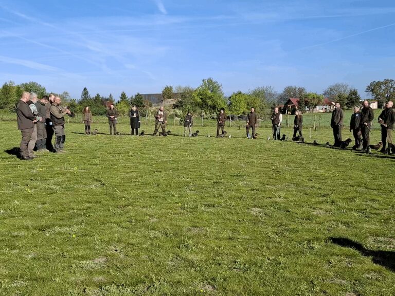 BLJ Blatné 25.04.2026