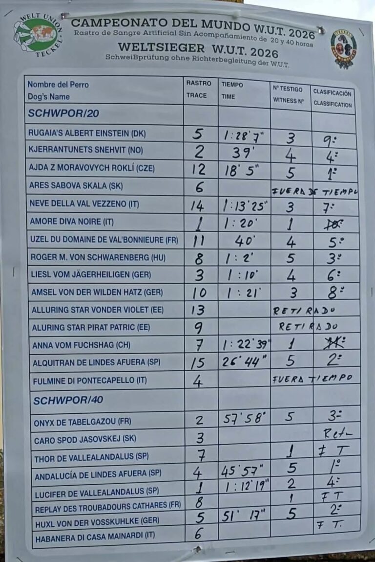 WUT SchwPoR 20/40 Santa Cruz et San Adrián de Juarros, Burgos, Španielsko 9. a 10. máj 2026 – fotografia 1