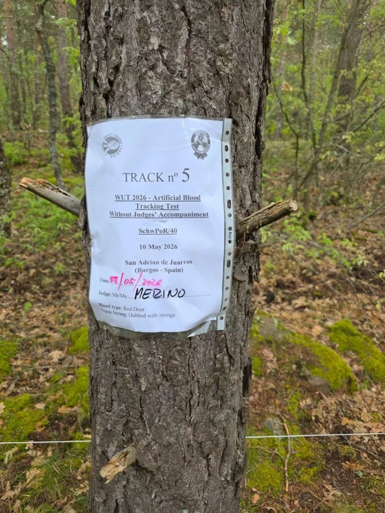 WUT SchwPoR 20/40 Santa Cruz et San Adrián de Juarros, Burgos, Španielsko 9. a 10. máj 2026 – fotografia 8
