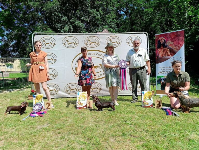 ŠVJ 27.06.2026 Dolná Strehová – fotografia 10
