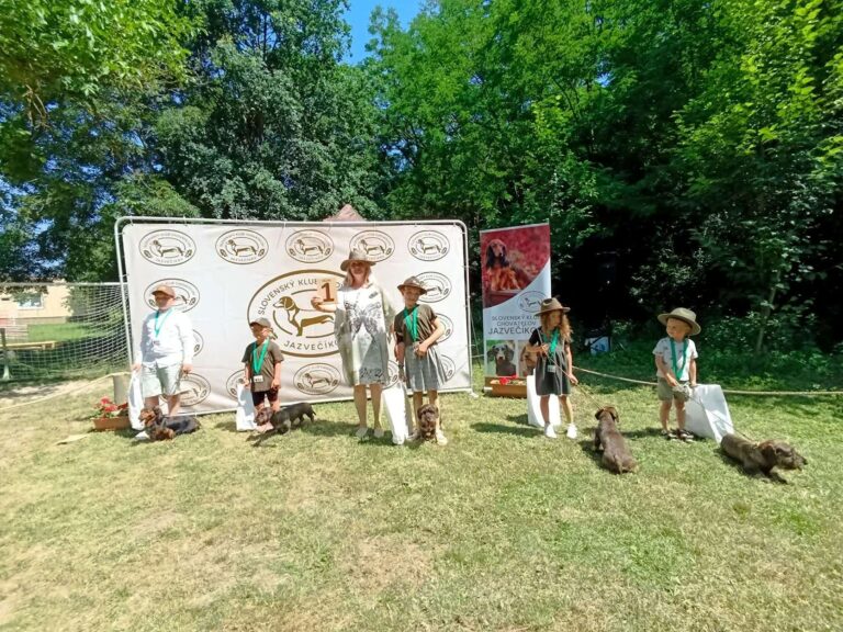 ŠVJ 27.06.2026 Dolná Strehová – fotografia 2