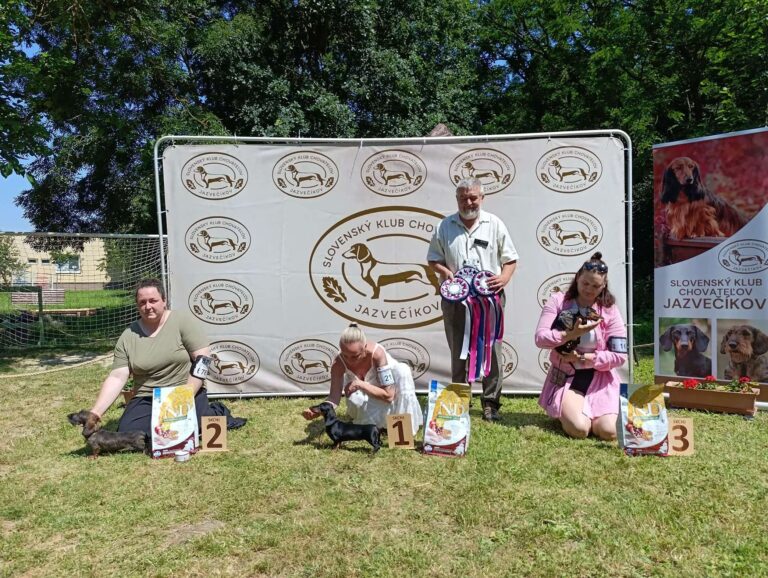 ŠVJ 27.06.2026 Dolná Strehová – fotografia 5