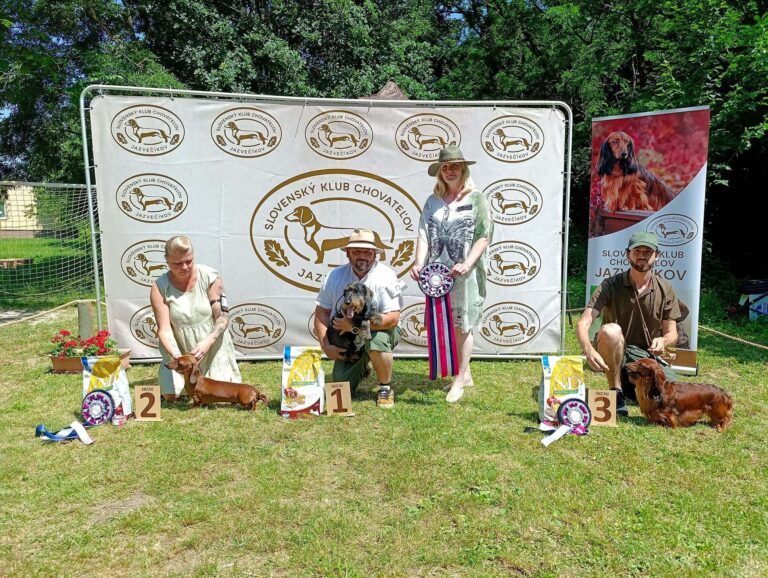 ŠVJ 27.06.2026 Dolná Strehová – fotografia 8